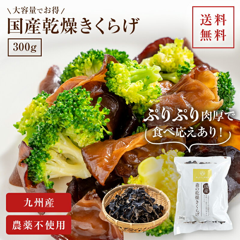国産きくらげ 九州産乾燥キクラゲ【300g】送料無料｜木耳 乾燥きくらげ 干しきくらげ 干しキクラゲ 干し木耳 日本産 ビタミンD 大容量 業務用 きくらげ国産 きのこ キノコ きくらげ キクラゲ ラーメンの具 乾燥 腸活 乾燥キノコ まとめ買い 食物繊維