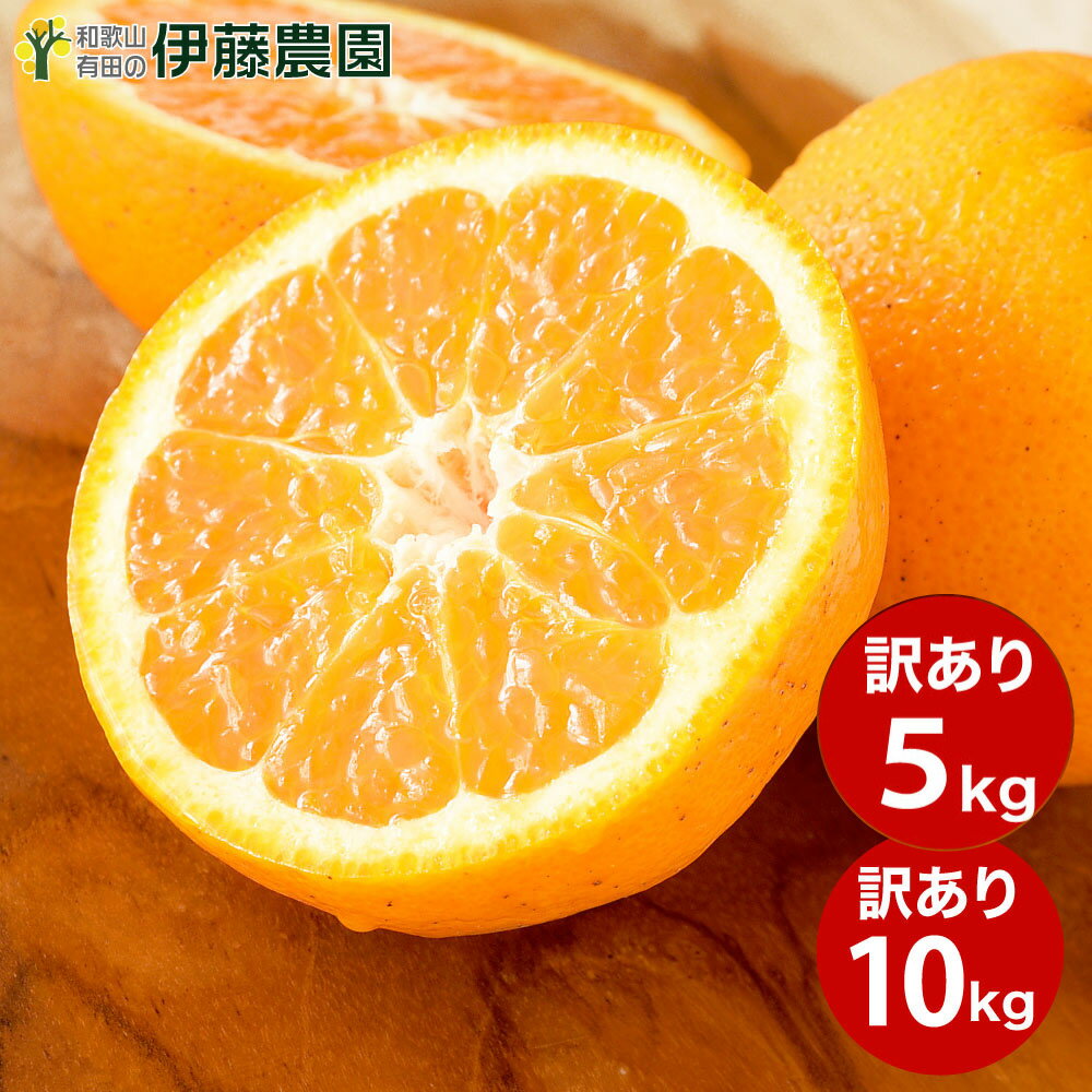 清見 きよみ 訳あり 5kg 送料無料 和歌山 キヨミ 清見オレンジ 春 の みかん 自宅用 手詰め 箱買い ノーワックス ノーブラッシング 特別栽培 詰め合わせ