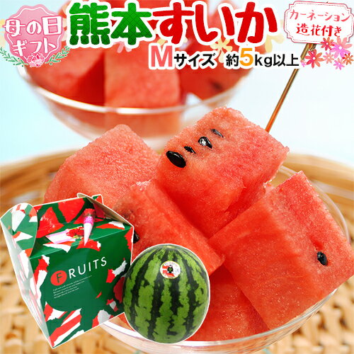 母の日ギフト ”熊本すいか” Mサイズ 約5kg以上 カーネーション造花付き 化粧箱【予約 5月2日〜5月10日お届け予定】 送料無料