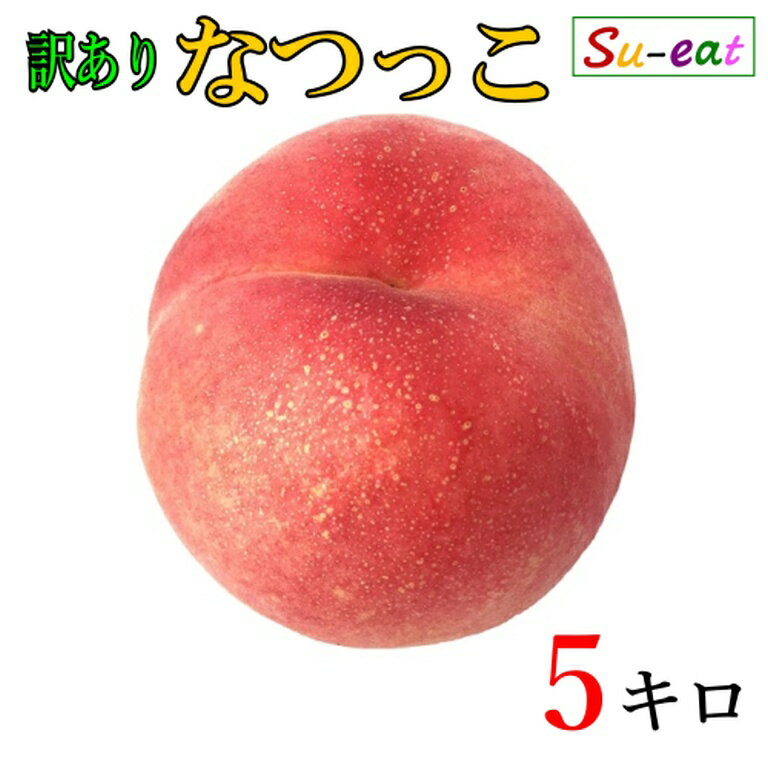 8月中旬〜下旬　なつっこ　訳あり 桃 減農薬 長野県産 5キロ