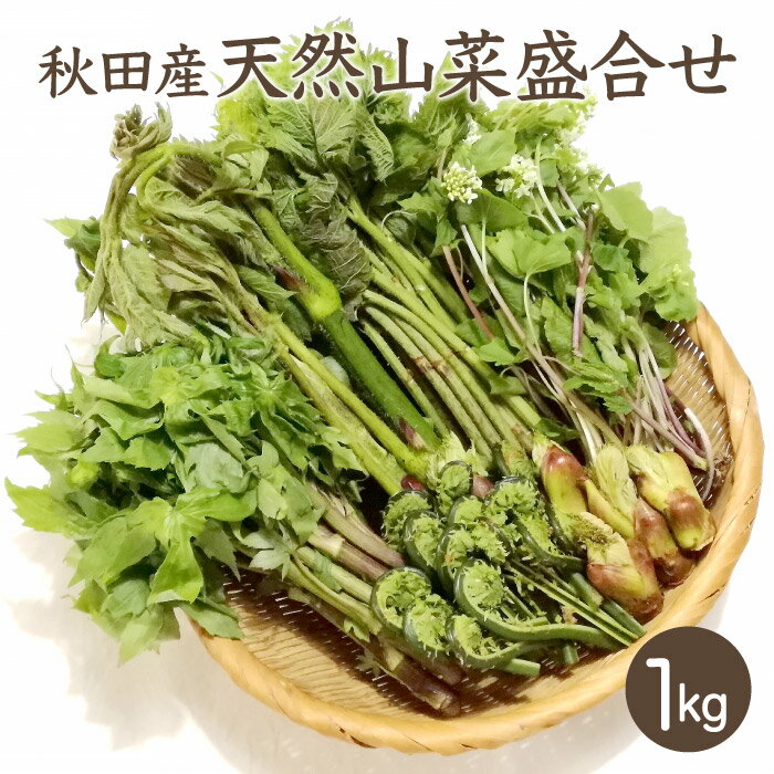 天然山菜盛合せ1kg【ご予約承り中!5月上旬発送】秋田産 しどけ 葉わさび こごみ たらの芽 わらび ふきのとう ねまがり竹 あいこ 山うど 山菜セット 採りたて お取寄せ 山の幸