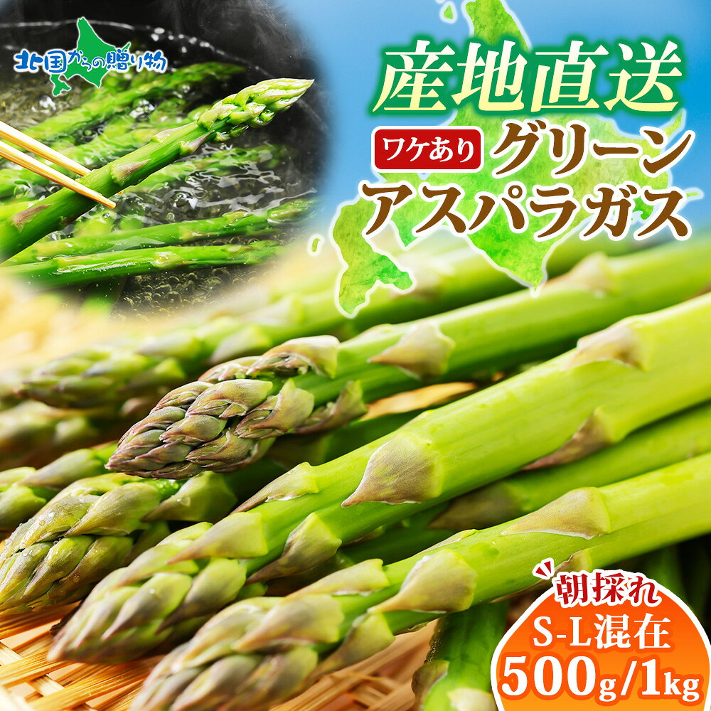 北海道産 訳あり グリーンアスパラガス S-L混在 （500g/1kg） 北海道産直 アスパラガス 北海道 アスパラ 北海道 グリーンアスパラ 甘い 北海道 アスパラガス 訳あり 新鮮 野菜 お取り寄せ グルメ 産地直送 産直 送料無料 ◆出荷予定：5月中旬-6月上旬