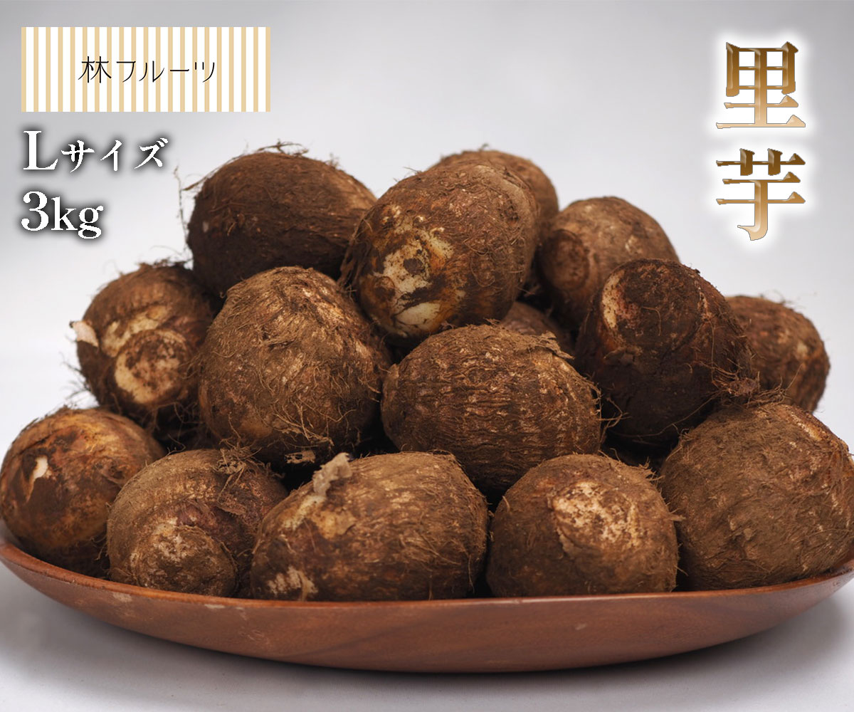 【埼玉県産 里芋 Lサイズ 約3kg 林フルーツ】　御祝 快気祝 御礼 お見舞い 粗品 内祝 出産祝い お供 志 誕生日 季節の野菜 やさい