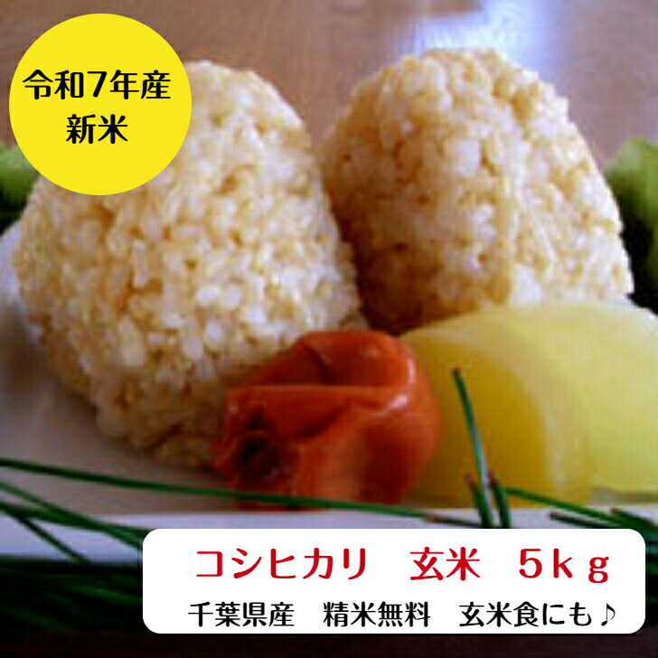 令和7年産 新米入荷!千葉県産 コシヒカリ 玄米 5kg【本州 四国 送料無料】精米無料