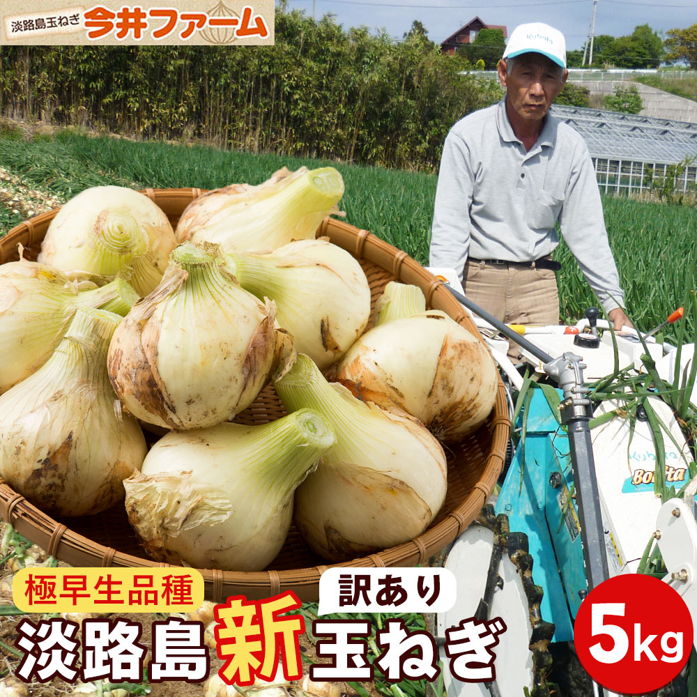 【今だけ☆250円OFF】【極早生品種】【訳あり】【【送料無料】【極早生】淡路島玉ねぎ 5キロ 【淡路島】【タマネギ】たまねぎ#(訳)淡路島産 新玉ねぎ5kg# 玉ねぎ たまねぎ葱 玉ねぎ