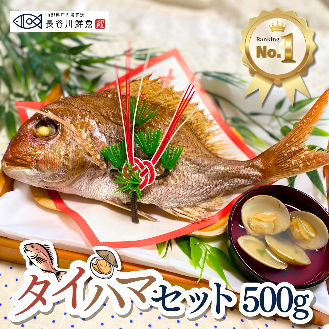 \new/お食い初め 鯛『タイハマセット』鯛500g(2~3人前サイズ) 蛤のお吸い物2食 祝い鯛山形県産 塩焼き 料理 はまぐり 尾頭付き 焼き鯛 鯛飾り 100日祝い