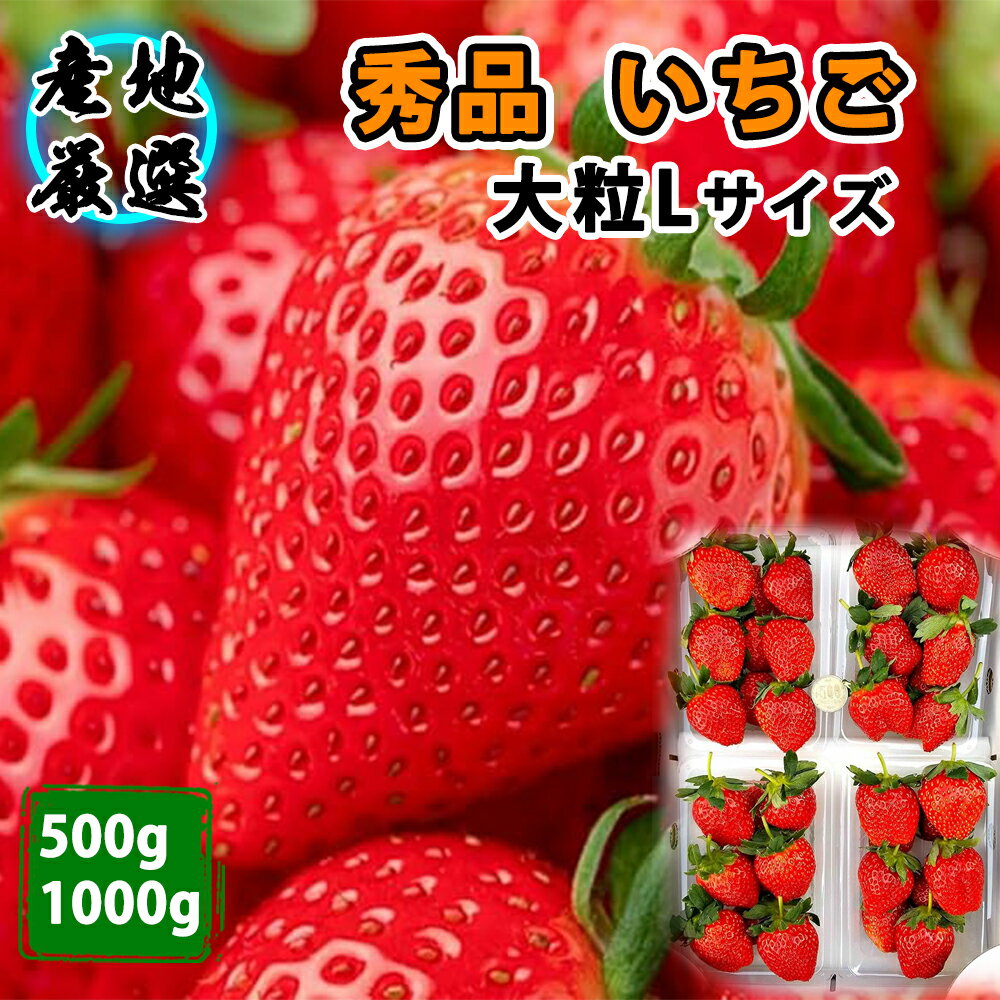 【産地直送翌日配達】いちご 秀品 厳選 とちおとめ スカイベリー やよいひめ 品種任せ ギフト 栃木 茨城 大粒L 2バック500g 化粧箱入れ 4バック1000g 果物ギフト 御祝 御見舞 イチゴ 贈答 苺 御供 お供え フルーツ くだもの 御歳暮 お歳暮 贈り物 ストロベリー