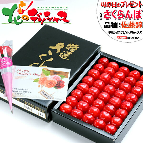 【予約】母の日 山形県産 さくらんぼ 佐藤錦 300g (加温ハウス栽培/特秀品/手詰め/化粧箱/常温便) 2026 母の日ギフト ギフト 贈り物 お祝い プレゼント 赤いカーネーション 母の日メッセージカード サクランボ 山形 東根市 産地直送 旬 果物 フルーツ お取り寄せ