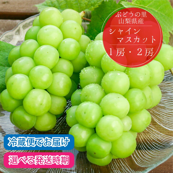 山梨 シャインマスカット 【2026年発送】 先行予約 1房 2房 1kg 大粒 8月 9月 旬 高級 ギフト 冷蔵便 化粧箱入り 贈答 自分へのご褒美 数量限定 期間限定 【2026年8月下旬～10月上旬】選べる配送時期 ブドウ フルーツ 果物