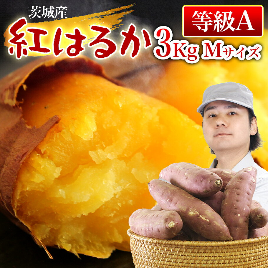 【良品等級A】紅はるか 茨城県産 さつまいも とびきりおいしい 約3kg/5kg/10kg