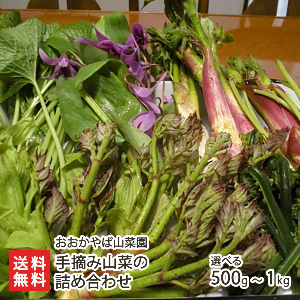 新潟県産 手摘み山菜の詰め合わせ 選べる 500g 〜 1kg ※その時期に採れた旬の山菜を数種詰め合わせてお届けします おおかやば山菜園 山菜 山の幸 朝採り 鉾ヶ岳 春の旬 新潟県 生産者直送 お取り寄せ ギフト プレゼント 贈り物
