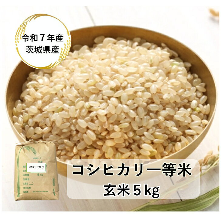 【玄米】【5kg】【コシヒカリ】【送料無料】【検査一等米】【7年産】「7年産 茨城県産 コシヒカリ一等米 玄米5kg」