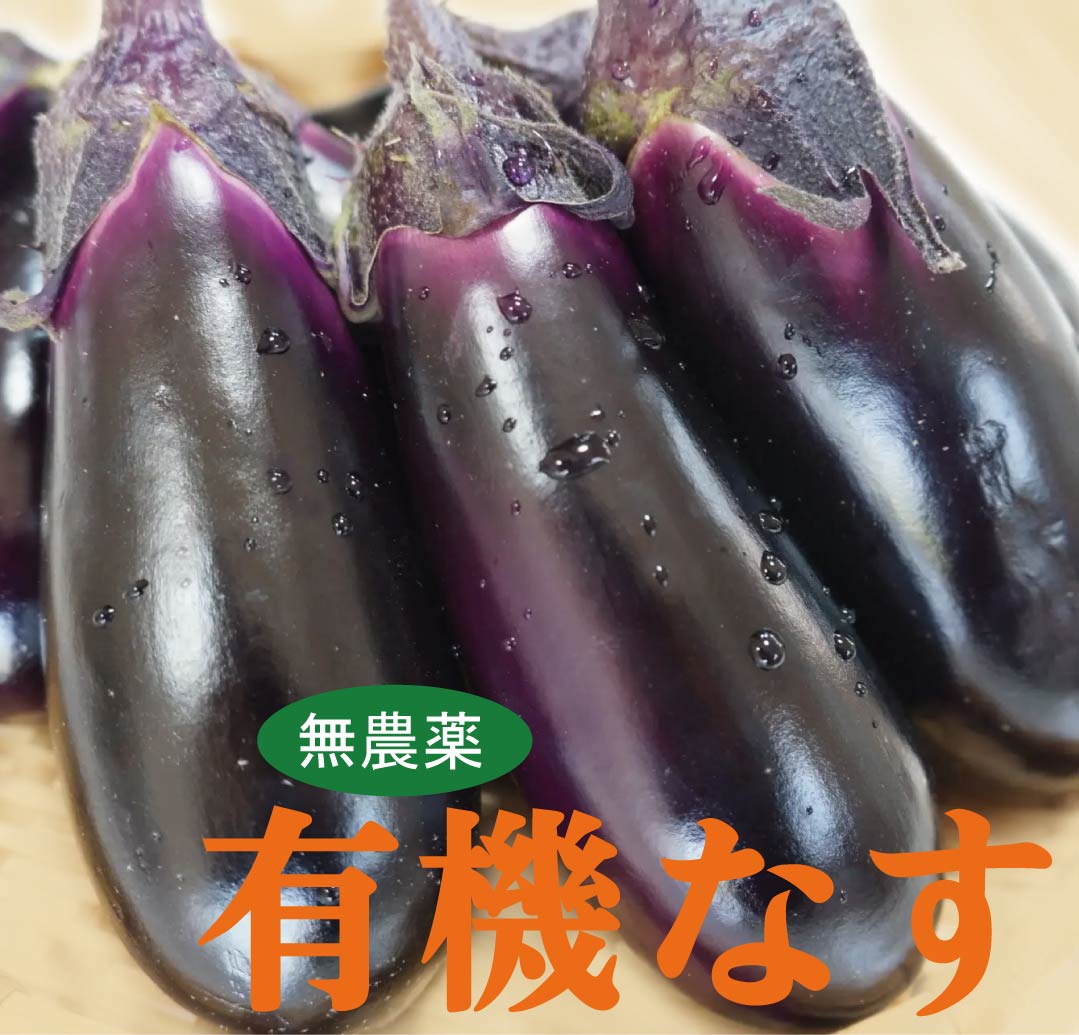 有機なす約200gパック(2〜3本入) 有機JAS認証★高知県産★農薬不使用・化学肥料不使用
