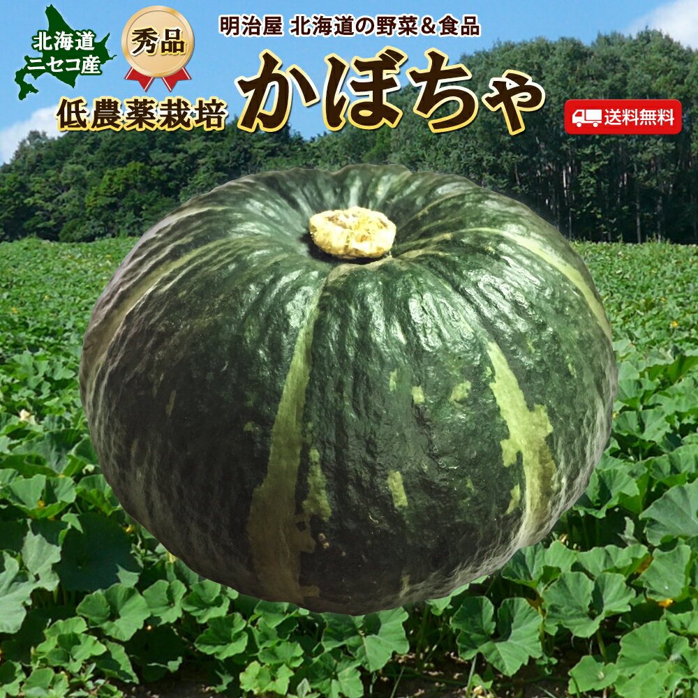 【予約商品】【9月下旬-10月上旬お届け予定】かぼちゃ 送料無料 5kg/10kg 北海道 ニセコ産 秀品 低農薬栽培 北海道産 カボチャ ハロウィン■かぼちゃ秀品●