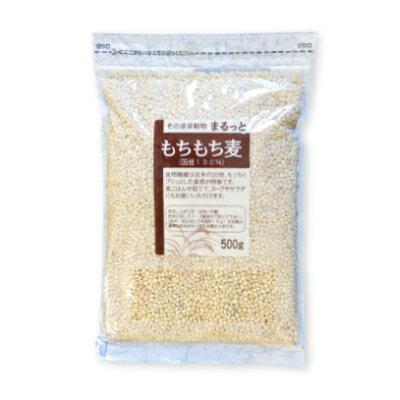 【マラソン限定クーポン配布中】まるっと もちもち麦 500g ライスアイランド 【 食品 雑穀 大麦 国内産 国産100％ 食物繊維 もちもち麦 麦ごはん 当店人気 おすすめ 健康 丸麦 プチプチ 食感】