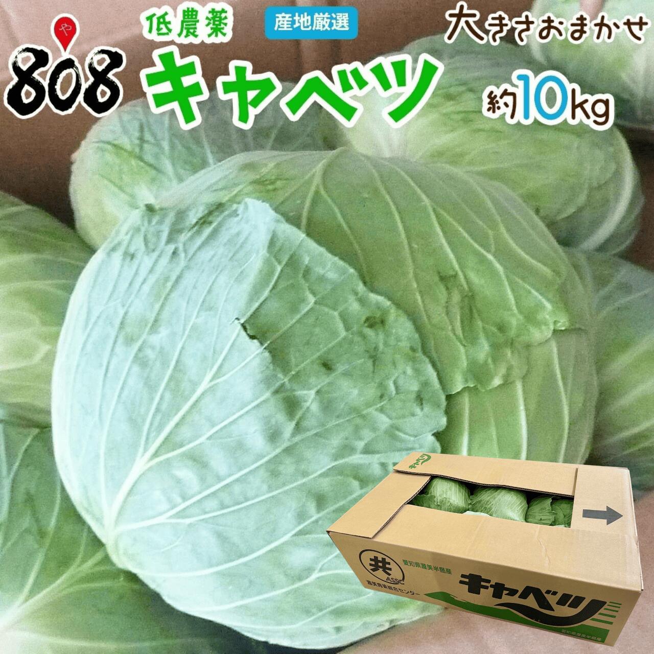 【送料無料】【産地厳選】低農薬 キャベツ 1箱 大きさお任せ 約10kg(北海道沖縄別途送料加算)