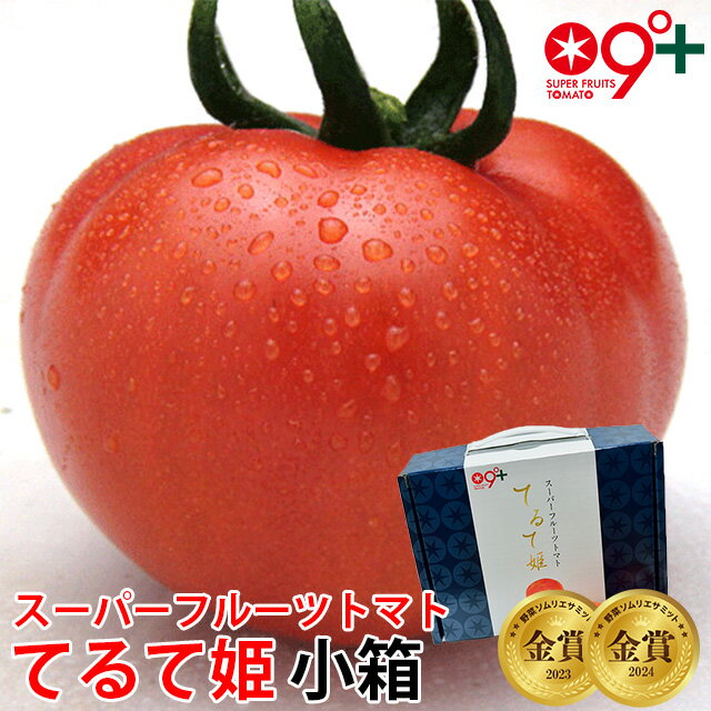 【4/4 20時～ 10％OFF クーポン】フルーツトマト ギフト てるて姫 スーパーフルーツトマト 小箱(8〜12玉 約800g) 黄金のワンスプーン！ とまと トマト 高糖度 贈答用 送料無料 父の日