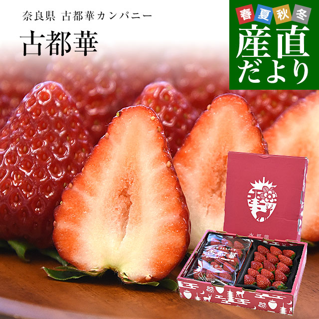 奈良県 古都華カンパニー 古都華(ことか) 3LからLサイズ 合計約540g(270g×2パック)送料無料 いちご 苺 奈良いちご