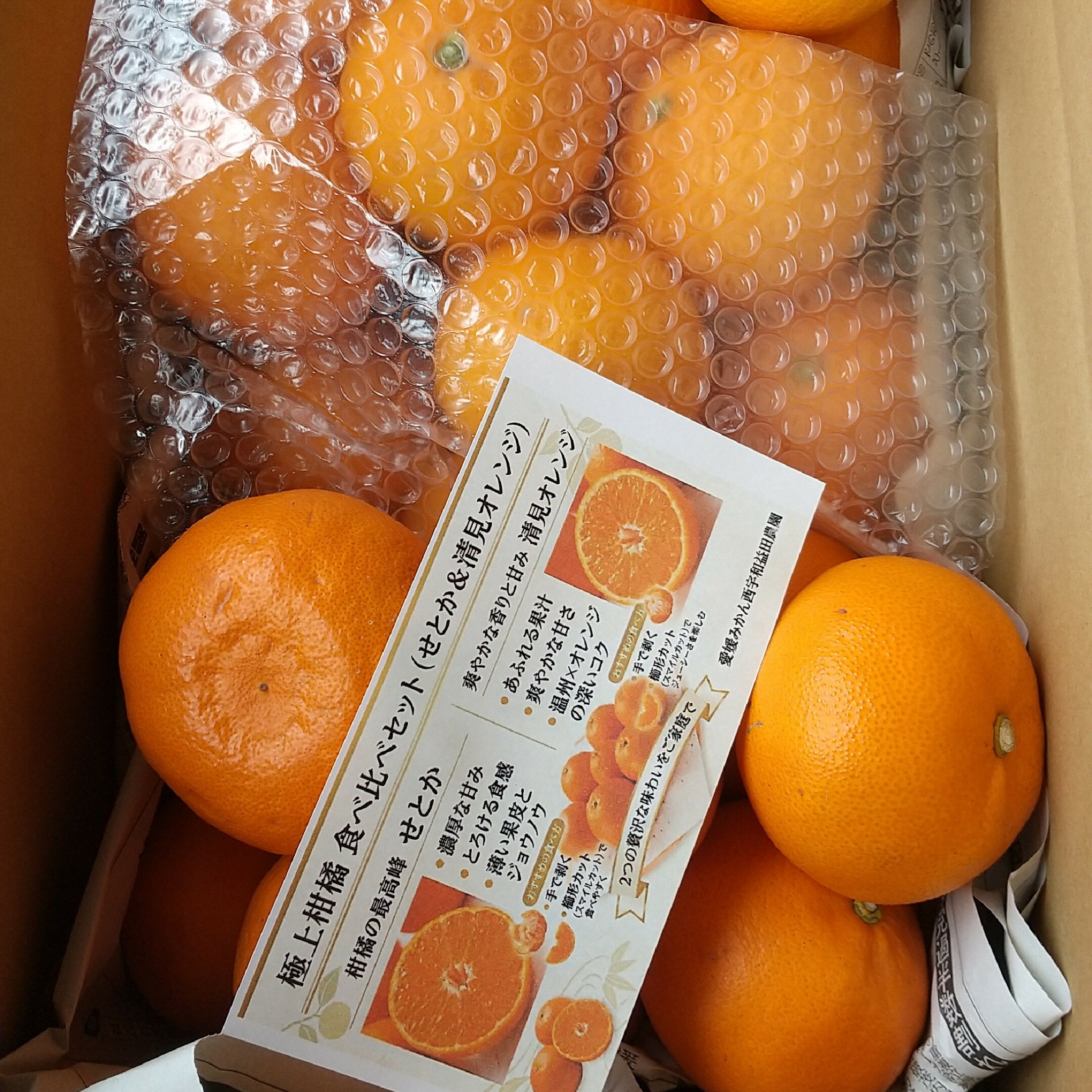 6kgせとか・清見オレンジ」食べ比べ 不揃い 傷 汚れ有 フルーツ 美味しいみかん 果物 くだもの 温州みかん 柑橘類 食品ロス 産地直送総重量6.0kg 訳ありみかん【送料無料(北海道・沖縄は追加料金)】