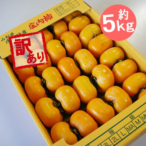 訳あり 焼酎脱渋 庄内柿 約 5kg 27玉〜40玉前後 送料無料 予約 山形県産 しょうないがき