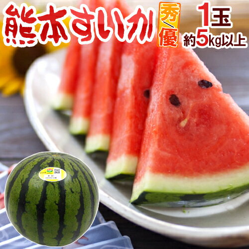 熊本県 ”熊本すいか” 秀/優品 約5kg以上 1玉【予約 4月以降】 送料無料