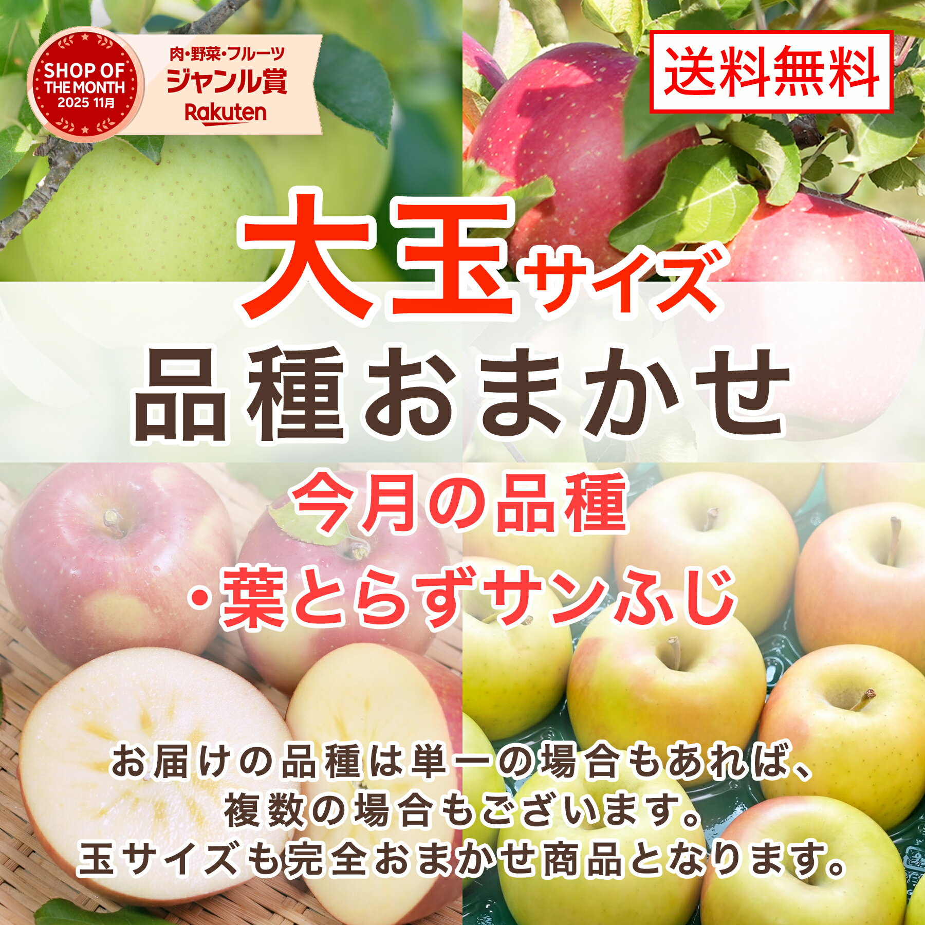【レビューで500円】大玉青森りんご 家庭用 10キロ 送料無料 品種おまかせ 産地直送 リンゴ 林檎 通販 お取り寄せ ワケアリ ワケあり ふじ サンふじ 王林 シナノゴールド 赤りんご 青りんご apple táo apple 蘋果 苹果 사과 ပန်းသီး Apel