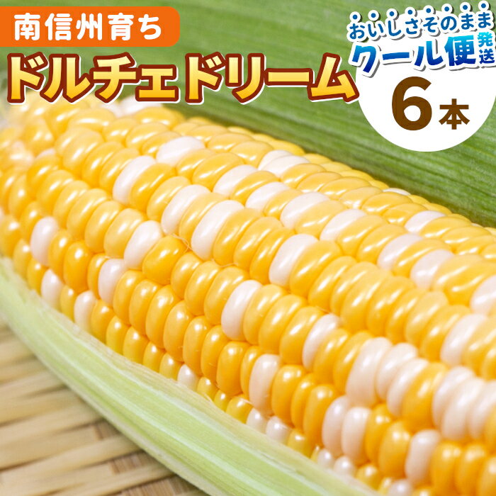 【予約商品】R8年産 とうもろこし ドルチェドリーム 6本 高原とうもろこし 朝採 産地直送 長野県 南信州産 フルーツコーン スイートコーン バイカラーコーン バイカラー コーン 南信州 伊那谷 お試し おためし 生で食べれる ：c181