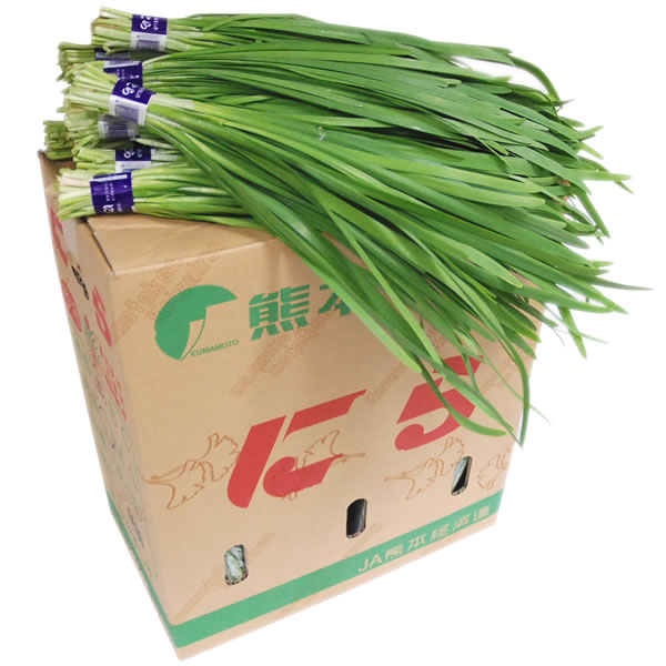 ＜箱売り＞　にら（ニラ） 1箱（50束入り／約5kg） 福岡・大分・宮崎産　＜業務用・大量販売＞