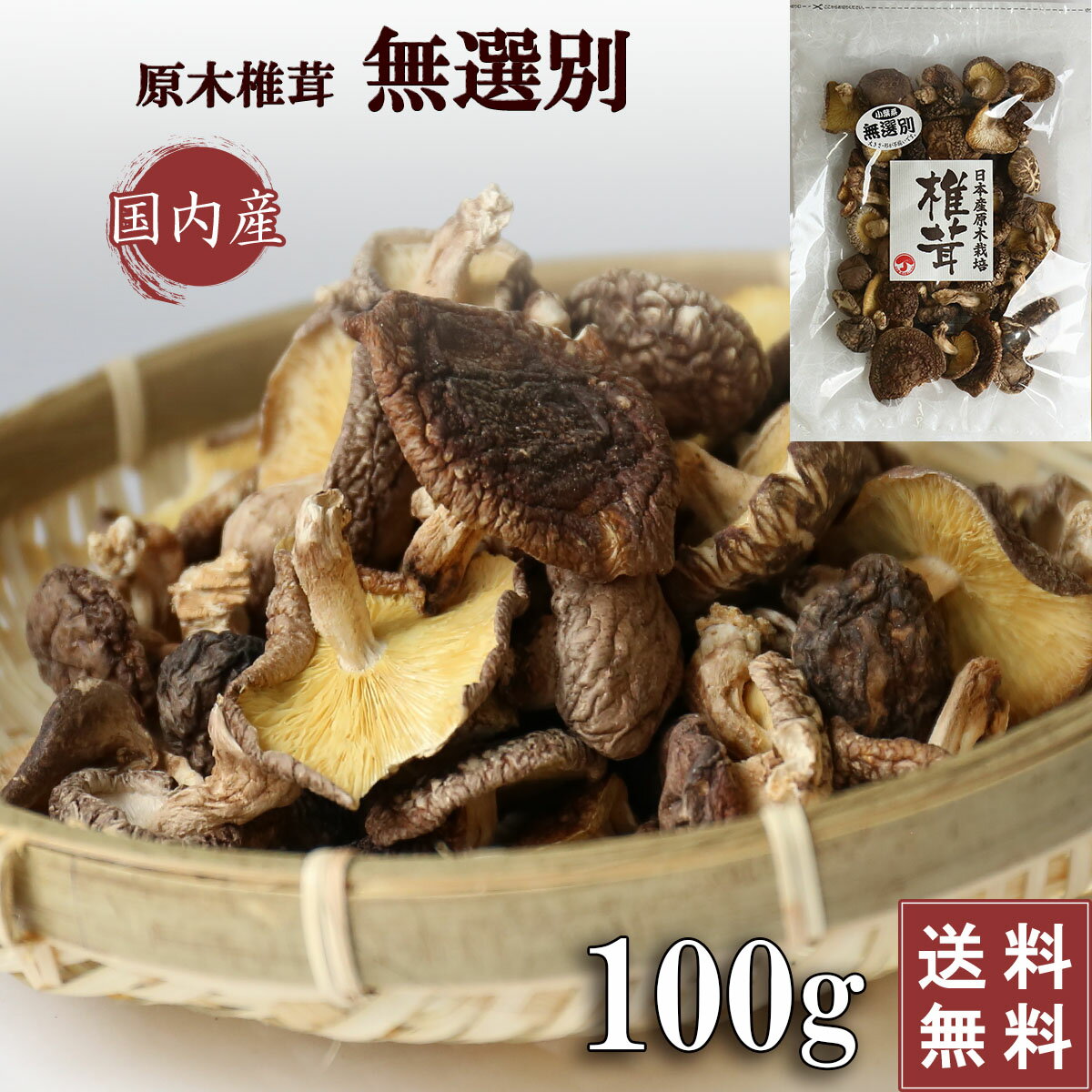 【訳あり】 国産 干し椎茸 無選別 100g 小葉 原木 原木栽培 乾燥椎茸 椎茸 シイタケ 乾燥シイタケ 岐阜 美濃椎茸 日本産 dry shiitake 九州 大分 愛媛 熊本 宮崎 岩手 栃木 新潟 三重 大容量 業務用 家庭用 出汁 干ししいたけ