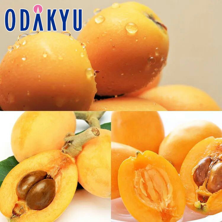 ビワ 送料無料 びわ3種 食べ比べセット 秀 約0.7kg |4月下旬以降のお届け※沖縄・離島へは届不可(直)