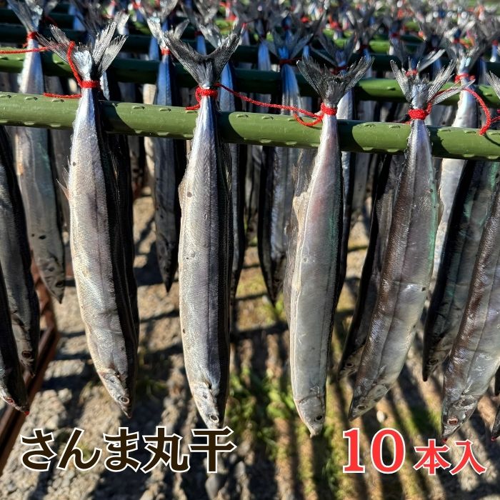 【送料無料】 さんま 丸干し 10本 干物 セット 詰め合わせ 秋刀魚 サンマ 魚 おかず 酒の肴 お取り寄せ グルメ 三重 尾鷲 産地直送 浜千商店 紀州製法
