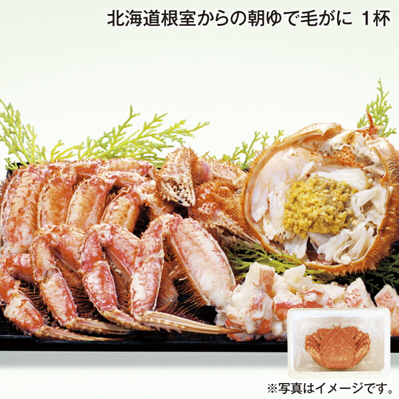 北海道根室からの朝ゆで毛がに 1杯 2杯 送料込み 送料込み ギフト プレゼント 贈答 お取り寄せ お土産 (レビュー記入で300円OFFクーポン配布中)