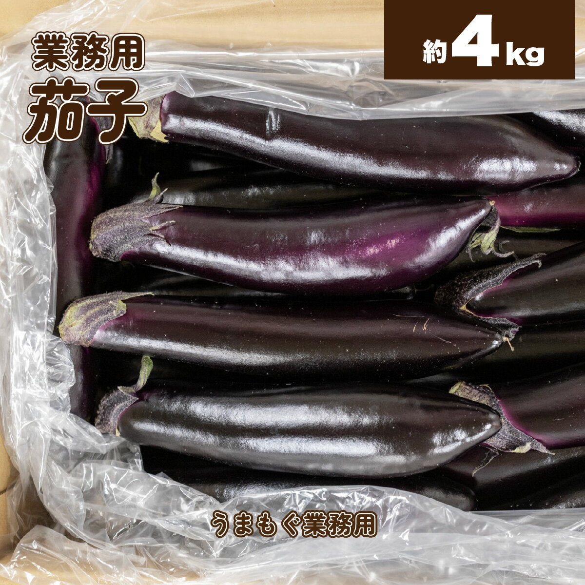 【業務用】福岡産 なす 4kgA2L・L | 1kgあたり 936円 | 茄子 ナス卸売 お得用 大容量 業務 おすすめ 人気 大人気 送料無料【北海道・沖縄配送不可】