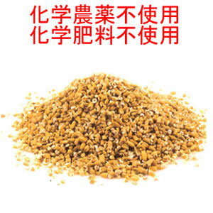 送料無料　プレミアム　スティールカット　オーツ麦(オート麦)　業務用 2kg×2　OTCO認定原料明細書不可(領収書は購入履歴ダウンロード可)業務用として継続的にご使用の場合は、お電話ください。在庫状況をご説明致します。