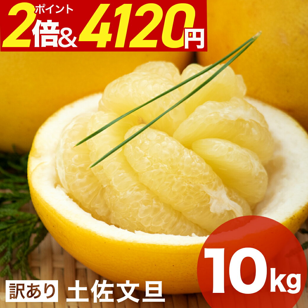 ＼200円OFFクーポンで4,120円&P2倍／ 訳あり 文旦 10kg 土佐文旦（ 露地文旦 ） 送料無料 サイズ おまかせ ぶんたん ブンタン 文旦 高知 わけあり 訳アリ フルーツ 果物 柑橘 柑橘類 お取り寄せ フルーツ 実用的 人気 プレゼント 母の日