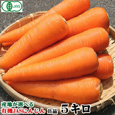 あす楽 産地が選べる 有機 にんじん 5kg【送料無料】有機栽培 無農薬栽培 にんじん 5キロ有機JAS認証 ジュース用 にんじん 5kg【無農薬・無化学肥料栽培】にんじん 有機 5kgにんじんジュース用 酵素 ジュース用2080円