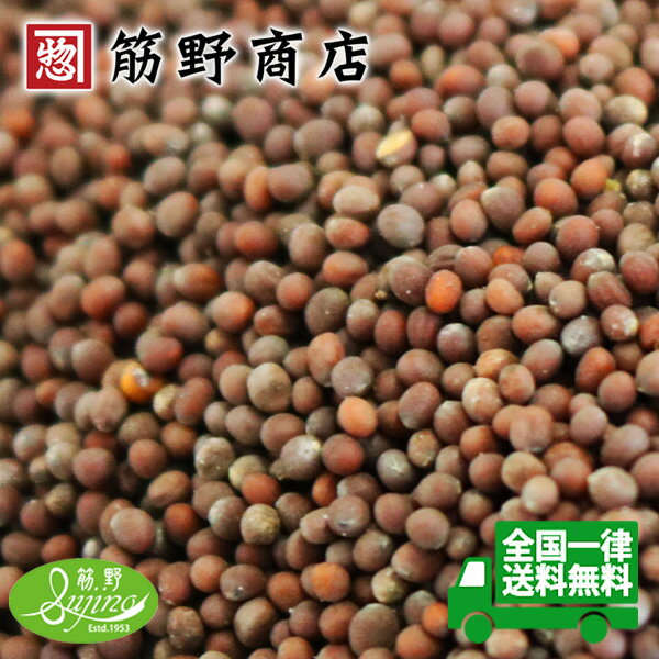 ブラウンマスタードシード　300g　送料無料　マスタード　からし　カナダ産　ポイント消化　スパイスカレー　スパイス　spice　香辛料