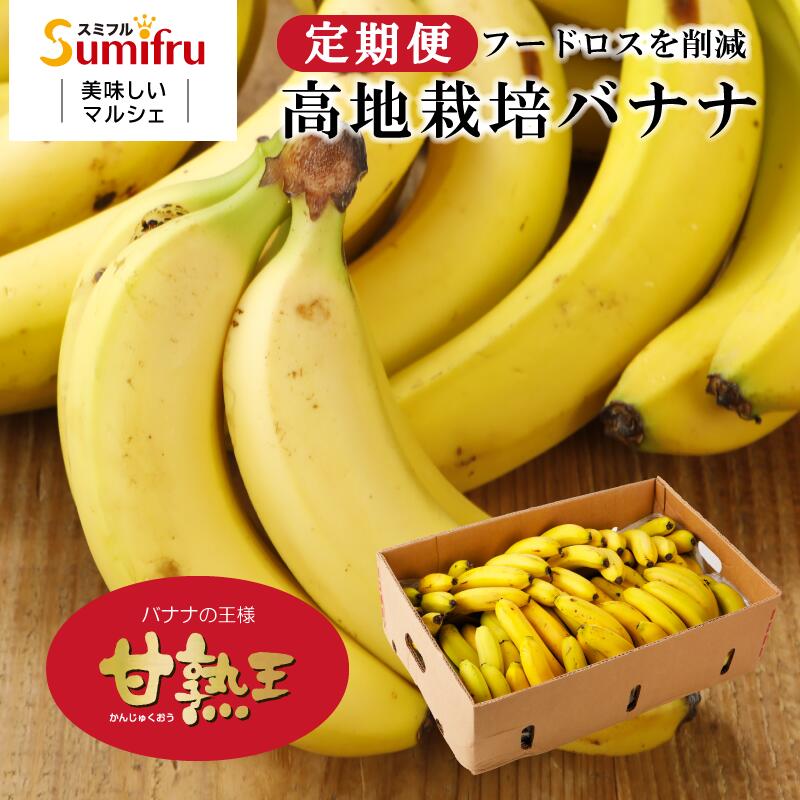 定期購入 バナナ 業務用 約85本 甘熟王 訳あり 高地栽培 大量 15kg 定期便 フィリピン産 sumifru スミフル 学園祭 スポーツ 送料無料 ばなな わけあり バナナジュースにおすすめ 【フードロス削減応援バナナ スマイル甘熟王】