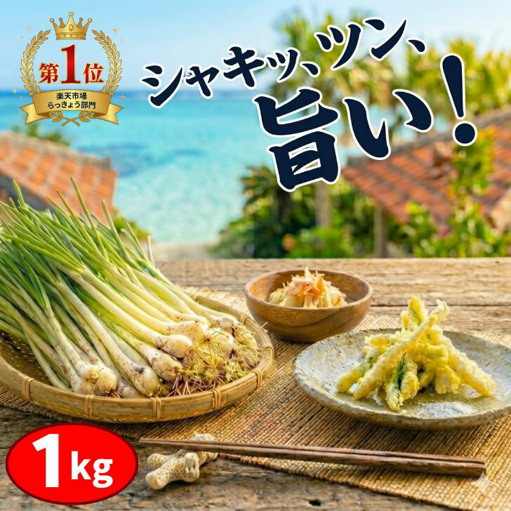 【 楽天1位 3冠達成 】 島らっきょう 1kg 沖縄 伊江島産 氷温育成 鮮度抜群 土付き 湧水育ち 生 島ラッキョウ おつまみ 天ぷら ギフト 贈答 送料無料 塩漬け キムチ 島らっきょ 5％OFFクーポン