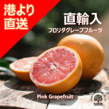 P10倍!直輸入★フロリダ産特選ルビーグレープフルーツML5~M6玉本場フロリダ産は今やまぼろし級!今季もわずかの入港です!みずみずしく香り極上!フロリダ産のダントツのジュース感をお楽しみください♪北海道九州へは別途330円沖縄2000円加算あり