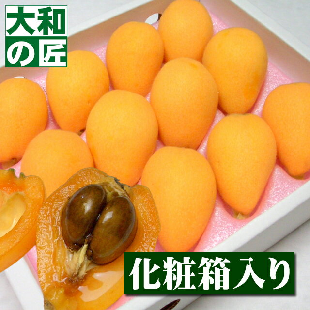 【順次発送可能★】楽天ランキング1位獲得★長崎県産 茂木びわ[Lサイズ12個入り] フルーツ 果物 びわ ビワ 琵琶 ギフト 贈り物 プレゼント グルメ 初物