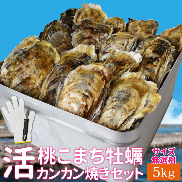 牡蠣 カンカン焼きセット 桃こまち サイズ無選別5kg（約80個前後入） ミニ缶入り 送料無料 加熱用（牡蛎ナイフ・片手用軍手付き）三重県鳥羽の離島の希少 殻付き牡蠣 海鮮バーベキュー セット 卒業祝い ギフト