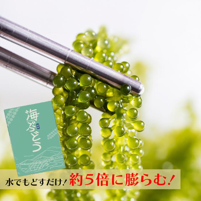 海ぶどう 20g 2～10食 水でもどす 5倍に膨らむ 大容量 タレなし お得 お土産 プチプチ つまみ 賞味期限が長い 新鮮 低カロリー うみぶどう 海葡萄 取り寄せ 常温保存食品 日持ちする手土産 常温つまみ 常温で食べれるもの 食品 常温で日持ちする おかず お取り寄せグルメ