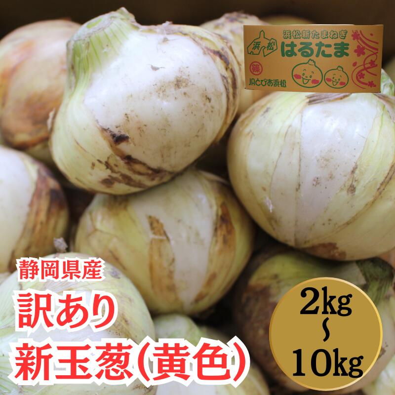 販売開始【静岡県浜松市産】訳あり新玉葱(黄色)Lサイズ1個約230~300g 2キロ 約8個入 5キロ約20個入 10キロ約43個入 玉葱 玉ネギ 玉ねぎ タマネギ 春の風物詩 甘味 新鮮 新物 サラダ カレー スープ 大好評 人気商品 炒め物 ハンバーグ すりおろし みじん切り 自宅用