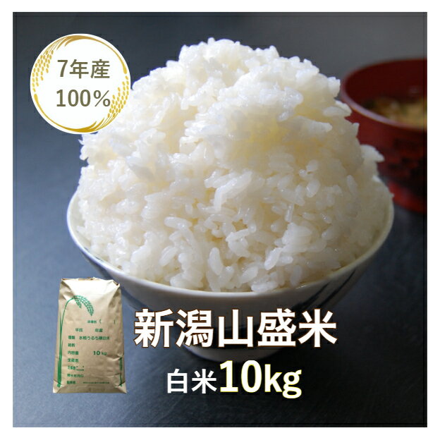 【送料無料】【訳あり】【米】【10kg】【新潟県産】【規格外米】【7年産】【精米】【白米】「7年産 新潟山盛米 白米10kg」