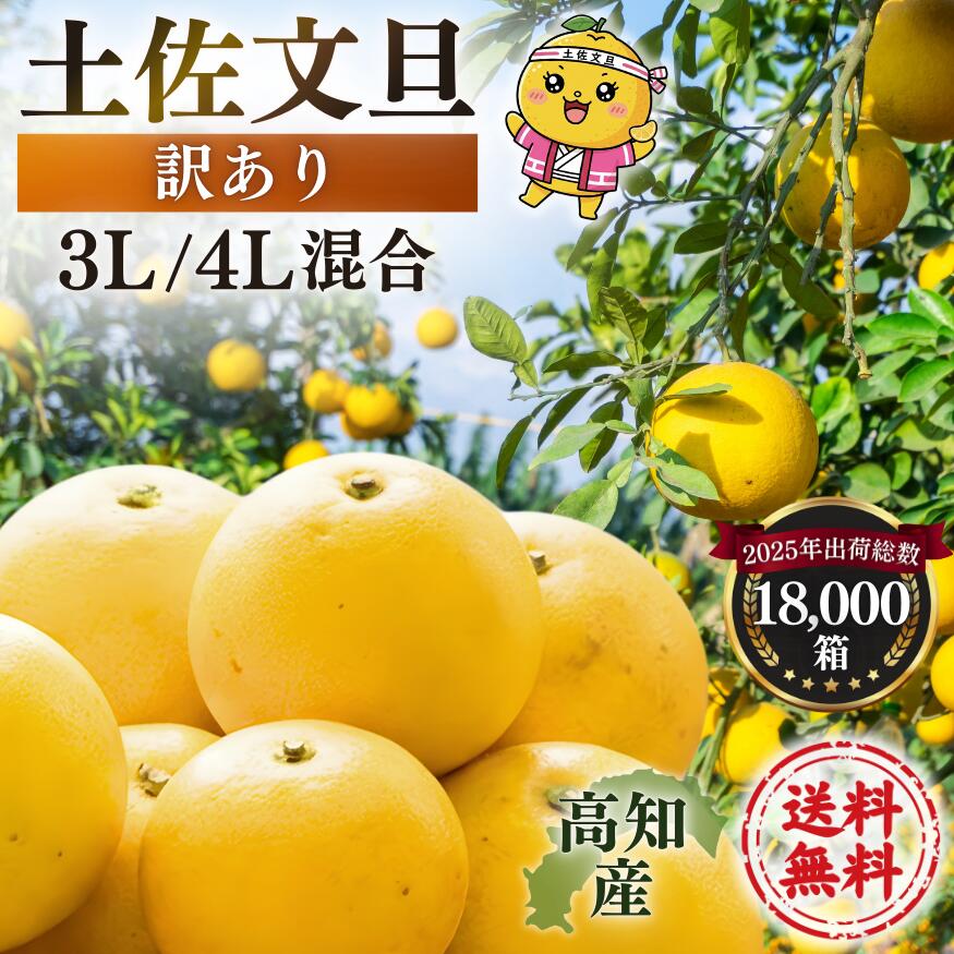 大玉限定 訳あり 土佐文旦 4L 3L サイズ混合 10kg 送料無料 露地土佐文旦 ぶんたん 【訳あり10キロ　4L3L混合　土佐文旦 】《2営業日以内に発送》