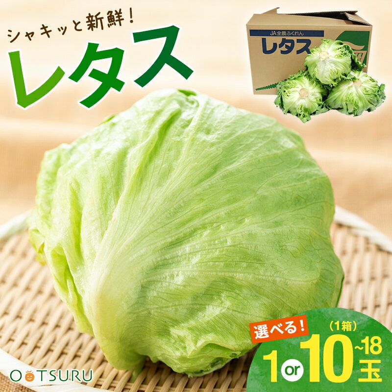 レタス（れたす） 1玉 / 1箱（10〜18玉入り） 選べる内容量＜九州産・福岡・大分・長野・その他＞＜業務用・大量販売・箱売り＞
