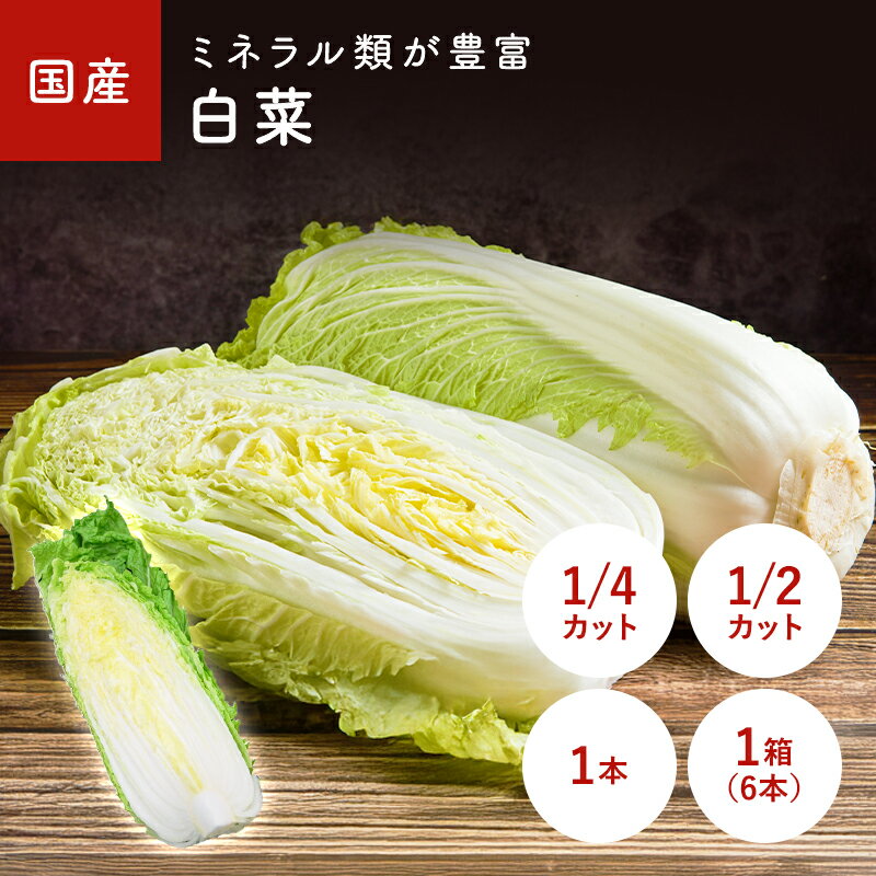 白菜（はくさい・ハクサイ） 1/2カット　1/4カット　1本　1箱(6本入り)　＜長野産＞