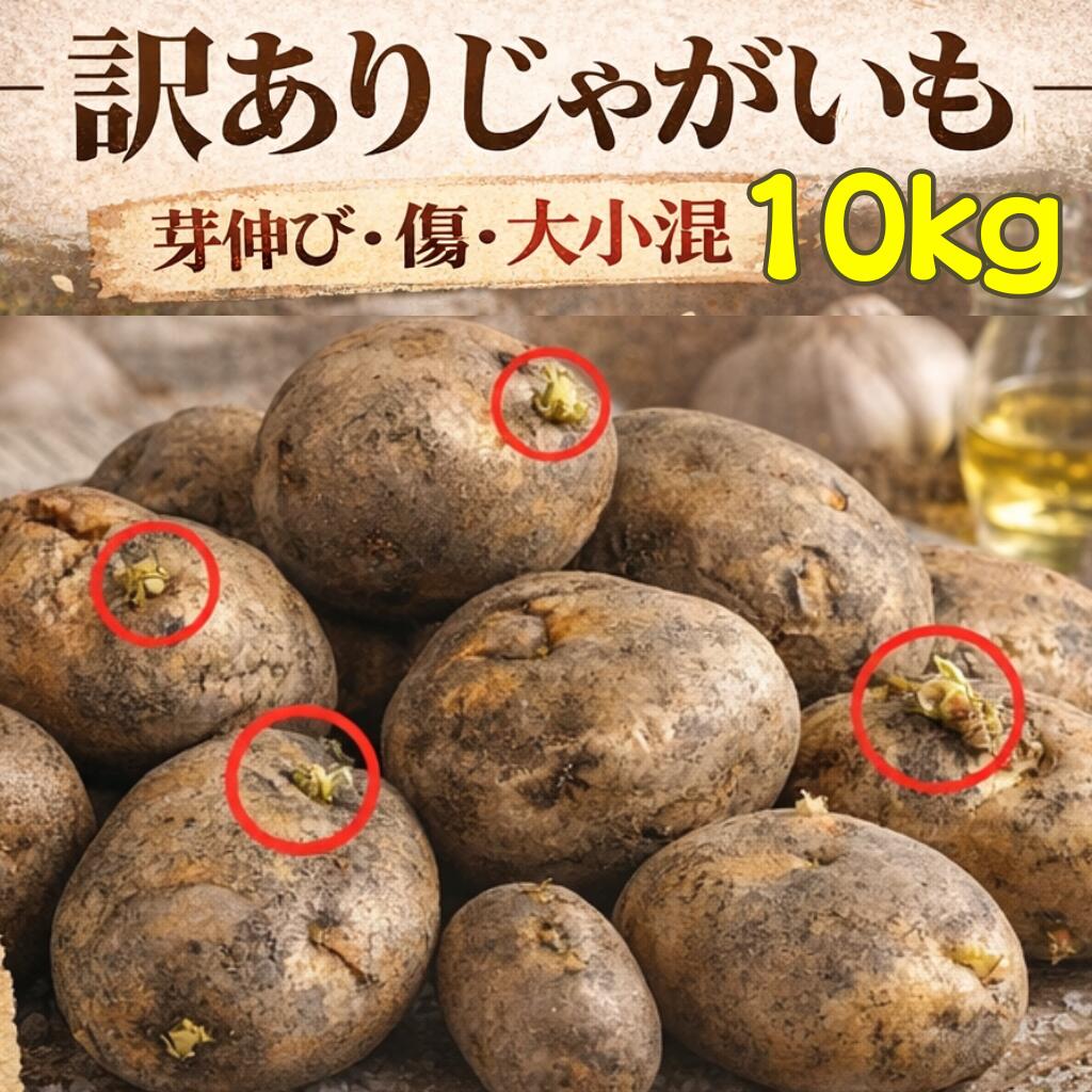 【訳あり】北海道産 じゃがいも 10kg 『訳アリ＝芽伸び、傷、大小混』黄爵ジャガイモ 芋 いも ポテト 新じゃが 真狩 金丸農園 ニセコ 直送 箱 買い