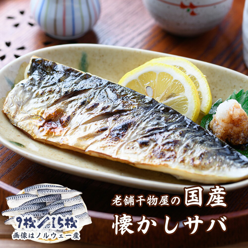 訳あり 骨取りさば サバ 塩サバ 骨取り 選べる 9枚 / 15枚 国産 / ノルウェー産 送料無料 トロさば 骨 取り鯖